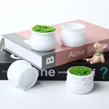 Chậu nhựa mini xốp cỏ xanh - Trang trí cây cảnh, giá 40.000đ giảm từ 51.200đ 5