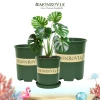 Chậu nhựa MONROVIA size LỚN cho hoa hồng, cây cảnh mini, rau, để bàn, ban công, vườn - 85.000đ