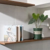 Chậu nhựa MONROVIA size LỚN cho hoa hồng, cây cảnh mini, rau, để bàn, ban công, vườn - 85.000đ 2