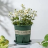 Chậu nhựa MONROVIA size LỚN cho hoa hồng, cây cảnh mini, rau, để bàn, ban công, vườn - 85.000đ 7