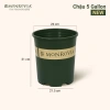 Chậu nhựa MONROVIA size LỚN cho hoa hồng, cây cảnh mini, rau, để bàn, ban công, vườn - 85.000đ 9