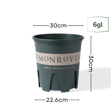 Chậu nhựa MONROVIA size LỚN cho hoa hồng, cây cảnh mini, rau, để bàn, ban công, vườn - 85.000đ