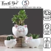 Chậu Sen Đá Xương Rồng Mini Hình Heo Sứ Cao Cấp Bàn Văn Phòng Giá Ưu Đãi 62.000₫