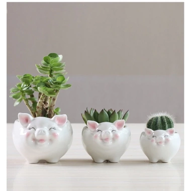 Chậu Sen Đá Xương Rồng Mini Hình Heo Sứ Cao Cấp Bàn Văn Phòng Giá Ưu Đãi 62.000₫