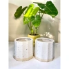 Chậu sứ mini để bàn họa tiết sọc khía vân cát, đế màu sang, trồng cây xanh, chỉ 36.000 VND 2
