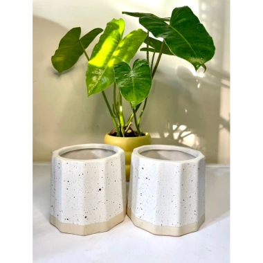 Chậu sứ mini để bàn họa tiết sọc khía vân cát, đế màu sang, trồng cây xanh, chỉ 36.000 VND 3