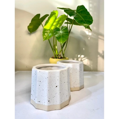 Chậu sứ mini để bàn họa tiết sọc khía vân cát, đế màu sang, trồng cây xanh, chỉ 36.000 VND 4