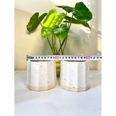 Chậu sứ mini để bàn họa tiết sọc khía vân cát, đế màu sang, trồng cây xanh, chỉ 36.000 VND 5