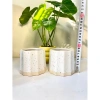 Chậu sứ mini để bàn họa tiết sọc khía vân cát, đế màu sang, trồng cây xanh, chỉ 36.000 VND 6