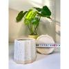 Chậu sứ mini để bàn họa tiết sọc khía vân cát, đế màu sang, trồng cây xanh, chỉ 36.000 VND 8