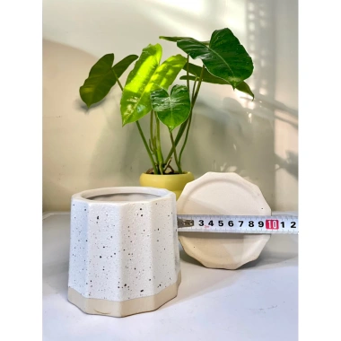 Chậu sứ mini để bàn họa tiết sọc khía vân cát, đế màu sang, trồng cây xanh, chỉ 36.000 VND 8