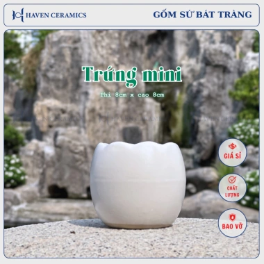 Chậu sứ mini Haven Ceramics trồng cây để bàn miệng 8cm – Giá 9.500đ, thiết kế tinh tế 2