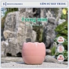 Chậu sứ mini Haven Ceramics trồng cây để bàn miệng 8cm – Giá 9.500đ, thiết kế tinh tế 3