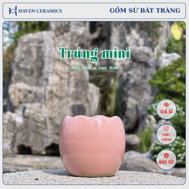 Chậu sứ mini Haven Ceramics trồng cây để bàn miệng 8cm – Giá 9.500đ, thiết kế tinh tế 3