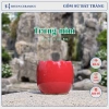 Chậu sứ mini Haven Ceramics trồng cây để bàn miệng 8cm – Giá 9.500đ, thiết kế tinh tế 5