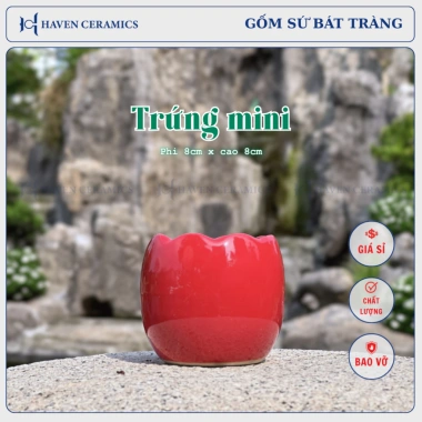 Chậu sứ mini Haven Ceramics trồng cây để bàn miệng 8cm – Giá 9.500đ, thiết kế tinh tế 5
