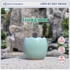 Chậu sứ mini Haven Ceramics trồng cây để bàn miệng 8cm – Giá 9.500đ, thiết kế tinh tế 6