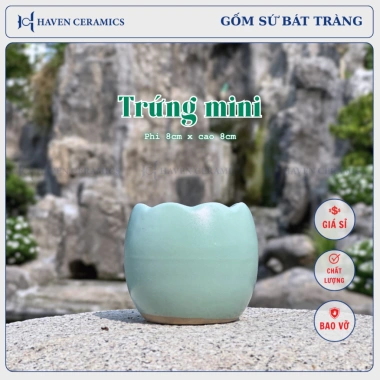 Chậu sứ mini Haven Ceramics trồng cây để bàn miệng 8cm – Giá 9.500đ, thiết kế tinh tế 6