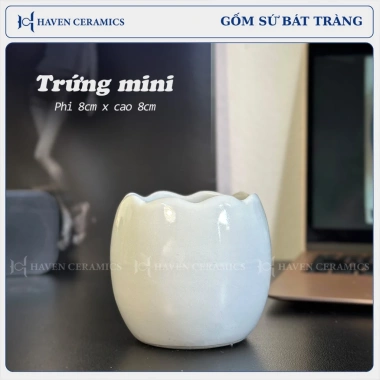 Chậu sứ mini Haven Ceramics trồng cây để bàn miệng 8cm – Giá 9.500đ, thiết kế tinh tế 10