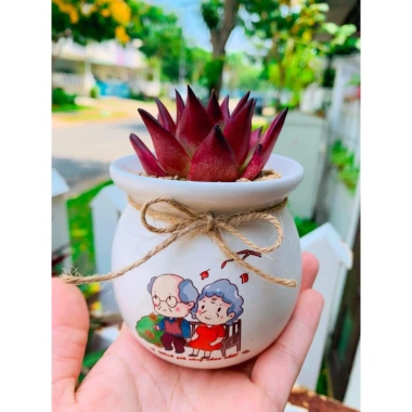 Chậu sứ VinaXinh 8cm trồng sen đá, xương rồng, cây cảnh để bàn - In họa tiết, giá 29.000₫