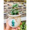 Chậu sứ VinaXinh 8cm trồng sen đá, xương rồng, cây cảnh để bàn - In họa tiết, giá 29.000₫ 4