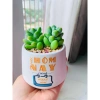 Chậu sứ VinaXinh 8cm trồng sen đá, xương rồng, cây cảnh để bàn - In họa tiết, giá 29.000₫ 8