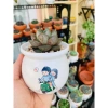 Chậu sứ VinaXinh 8cm trồng sen đá, xương rồng, cây cảnh để bàn - In họa tiết, giá 29.000₫ 9