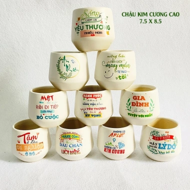 Chậu sứ VinaXinh 8cm trồng sen đá, xương rồng, cây cảnh để bàn - In họa tiết, giá 29.000₫