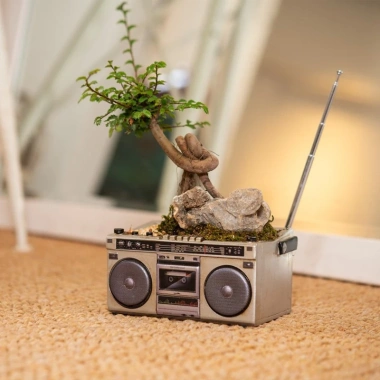 Chậu Trồng Sen Đá Nhựa Mini Đa Mẫu - Trang Trí Dễ Thương, Giá Ưu Đãi 99.000đ 2