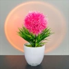 Chậu Tú Cầu Bông Giả 22cm - Hoa Nhựa, Lá Nhựa, Gốc Rêu - Trang Trí Bàn 56.250đ 10