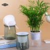 Chậu tự dưỡng vân kim cương 2.204 - Chậu mọng nước mini để bàn, trang trí cây hoa, giá ưu đãi 35.100 VND