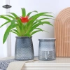 Chậu tự dưỡng vân kim cương 2.204 - Chậu mọng nước mini để bàn, trang trí cây hoa, giá ưu đãi 35.100 VND 3