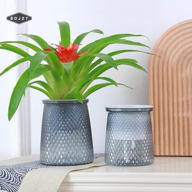 Chậu tự dưỡng vân kim cương 2.204 - Chậu mọng nước mini để bàn, trang trí cây hoa, giá ưu đãi 35.100 VND 3
