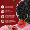 Cherry sấy khô Chile chua nhẹ ngọt thanh - Giá ưu đãi 150.000đ, giảm từ 181.500đ 7