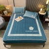 Chiếu điều hoà cao su non màu trơn Bọc chun Boss Decor - phủ đệm, đủ size, tặng 2 vỏ gối cùng màu - giá ưu đãi 357.200₫ 6
