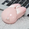 Chuột Không Dây Bluetooth Tai Thỏ Cute MOFII M6 tặng Pin CM6 giá 172.820 VND 7