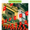 Cờ dây Tổ Quốc 10m x 20 lá - Sao Vàng, Đảng, phi bóng, trang trí Tết - 60.000