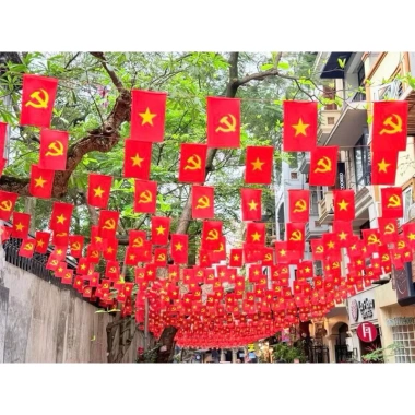 Cờ dây Tổ Quốc 10m x 20 lá - Sao Vàng, Đảng, phi bóng, trang trí Tết - 60.000 8