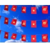 Cờ dây Tổ Quốc 10m x 20 lá - Sao Vàng, Đảng, phi bóng, trang trí Tết - 60.000 9