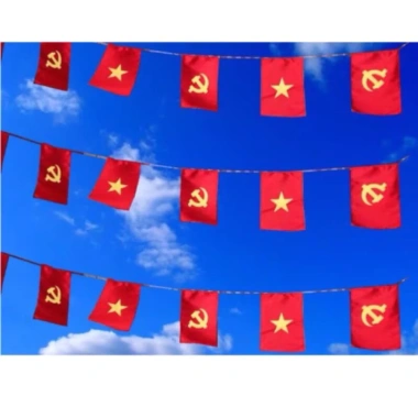 Cờ dây Tổ Quốc 10m x 20 lá - Sao Vàng, Đảng, phi bóng, trang trí Tết - 60.000 9