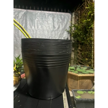 Combo 1 Sen Mini, Chậu, Phân Bón NPK, Vôi Xử Lý Bùn - Giá Ưu Đãi 80.000 VNĐ