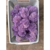 Combo 10 bông bồ công anh nhựa hoa giả decor - Giá chỉ 40.000 VNĐ, giảm 11.600 2