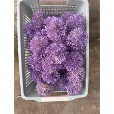 Combo 10 bông bồ công anh nhựa hoa giả decor - Giá chỉ 40.000 VNĐ, giảm 11.600