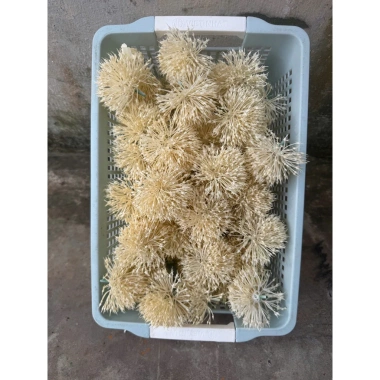 Combo 10 bông bồ công anh nhựa hoa giả decor - Giá chỉ 40.000 VNĐ, giảm 11.600 5 Combo 10 bông bồ công anh nhựa hoa giả decor - Giá chỉ 40.000 VNĐ, giảm 11.600 5