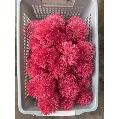 Combo 10 bông bồ công anh nhựa hoa giả decor - Giá chỉ 40.000 VNĐ, giảm 11.600