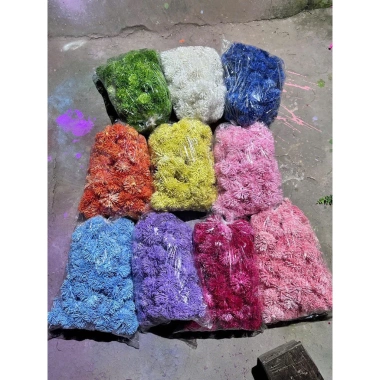 Combo 10 bông bồ công anh nhựa hoa giả decor - Giá chỉ 40.000 VNĐ, giảm 11.600 9 Combo 10 bông bồ công anh nhựa hoa giả decor - Giá chỉ 40.000 VNĐ, giảm 11.600 9
