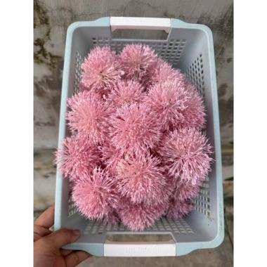 Combo 10 bông bồ công anh nhựa hoa giả decor - Giá chỉ 40.000 VNĐ, giảm 11.600 10 Combo 10 bông bồ công anh nhựa hoa giả decor - Giá chỉ 40.000 VNĐ, giảm 11.600 10