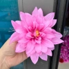 Combo 10 bông hoa cúc đại lệ - hoa lụa giả trang trí, giá ưu đãi 59.000đ 7