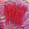 Combo 10 cành Đào Đông 100cm 12 nhánh trang trí Tết, giá rẻ vô địch 115k 6