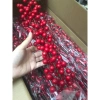 Combo 10 cành Đào Đông 100cm 12 nhánh trang trí Tết, giá rẻ vô địch 115k 9